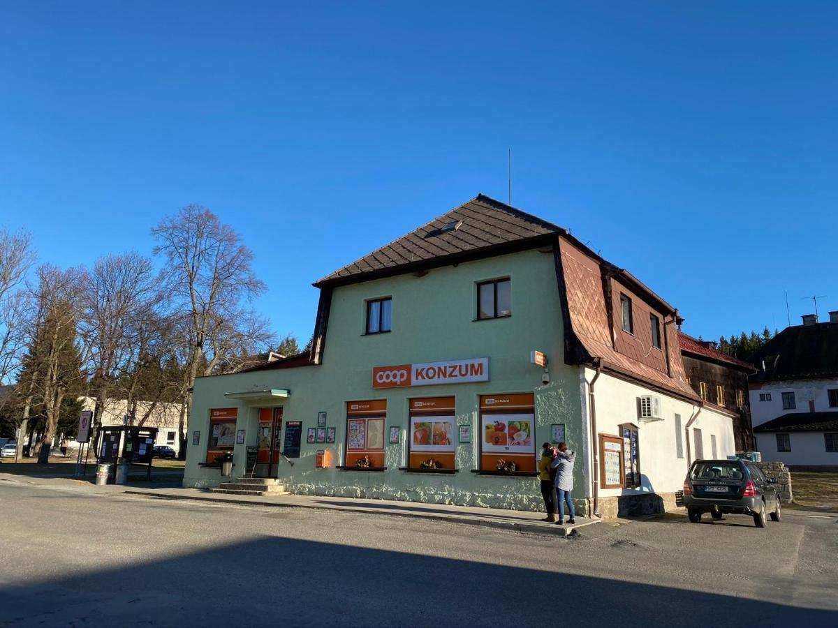 Apartman U Lesa, Srni 119 Экстерьер фото
