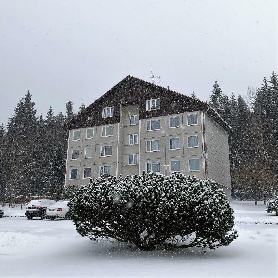 Apartman U Lesa, Srni 119 Экстерьер фото